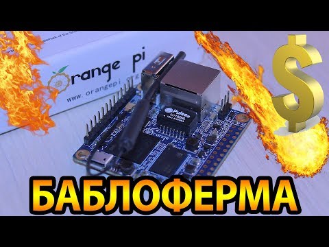 Видео: БАБЛОФЕРМА на orange pi - Часть 1