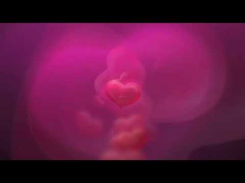 Видео: Медитация магнит успеха и изобилия. Секрет исцеления и привлечения духовных и материальных благ 