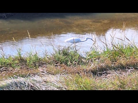 Видео: Море, солце , песок, волны. Sankt Peter - Ording 😊🌞