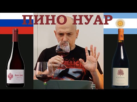 Видео: 2 вина по 1500 р. Пино Нуар. Абрау. Катальпа.