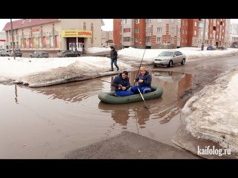 Видео: ТЕСТ НА ПСИХИКУ, КТО ЗАСМЕЁТСЯ ИЛИ УЛЫБНЕТСЯ - лайк и подписка!