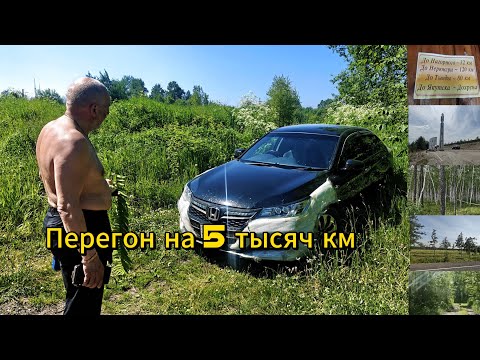 Видео: ДОРОГА АЛДАН - ОМСК. Перегон Accordа. Как это было, словами не передать! КТО ЕЗДИЛ ТОТ ПОЙМЕТ.