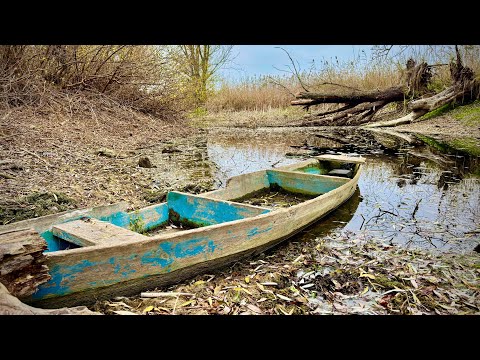 Видео: Сазан ТЯГНЕ В КОРЯГУ! Дикі КОРЯЖНИКИ СУЛИ!