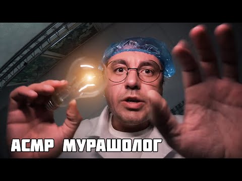 Видео: АСМР для устойчивых к мурашкам! 100 % эффект мурашек гарантирован!