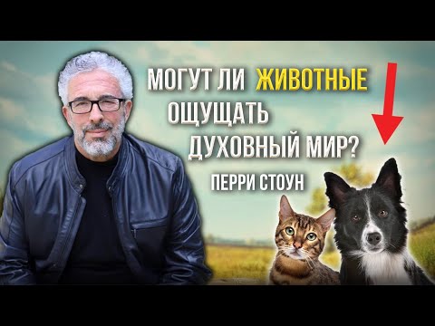 Видео: Могут ли животные ощущать духовный мир? | Перри Стоун