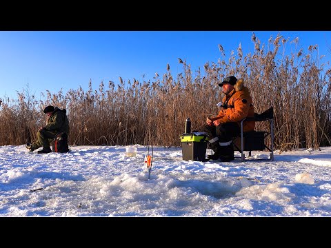 Видео: ОТМОРОЖЕНЫЕ! За окунем на жерлицы. Костёр на льду. Готовим мясо