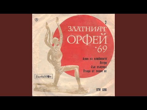 Видео: Сън сънувах