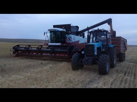 Видео: ACROS 550 , VECTOR 410, ПАЛЕССЕ GS12. Начало уборки(Сезон 2019)
