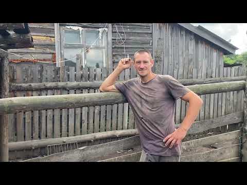 Видео: ЗАБОЙ КУРЕЙ. ОПРОБОВАЛИ ПЕРОЩИПАТЕЛЬНУЮ МАШИНУ