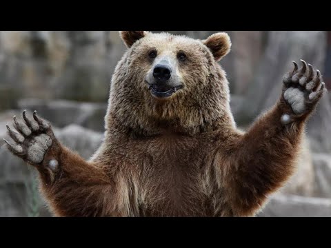 Видео: КАРТА ДНЯ НА 14 НОЯБРЯ 2025 ГОДА