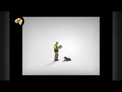 Видео: История заставок "Диалоги о животных/Живые истории"