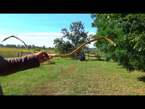 Видео: Лук с растяжкой 30- 31 дюйм. 50 Lb horn bow.