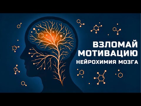 Видео: Нейрохимия МОТИВАЦИИ: почему мы ленимся и как это исправить