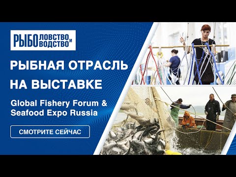 Видео: Промышленное рыболовство: от орудий лова до утилизации отходов | Seafood Expo