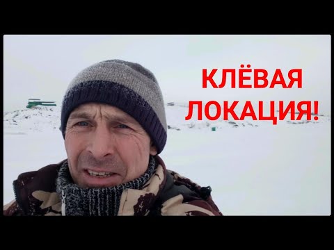 Видео: Рыбалка. Самаркандское водохранилище.