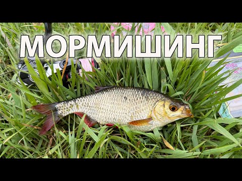 Видео: МОРМИШИНГ Біла риба на спінінг !! ПЕРШІ РЕЗУЛЬТАТИ РАЗОМ !! спінінг наноджиг рибалка на червонопірку