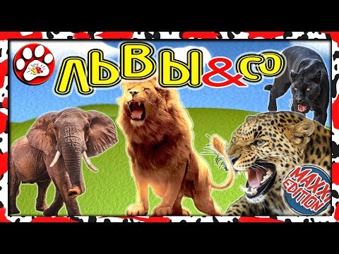 Видео: Super Звери ЛЬВЫ и ко макси Деагостини (НОВИНКА 2019 КОЛЛЕКЦИЯ)