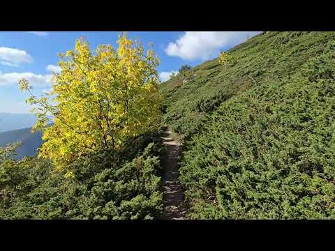 Видео: Между Беклемето и хижа Козя стена