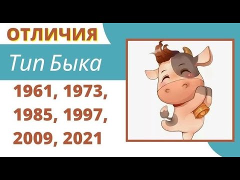 Видео: К какому типу / году Быка Вы относитесь?  Характеристика по китайскому гороскопу.