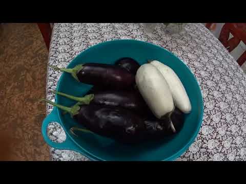 Видео: БАКЛАЖАНЫ ВЯЛЕНЫЕ В НЕОБЫЧНОМ СОУСЕ НА ЗИМУ.