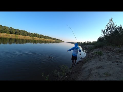 Видео: УТРО НАЧАЛОСЬ НЕ С КОФЕ, А С БЕШЕНЫХ САЗАНОВ! КАРТОФАН ОТ ПАШКА, ЗАКУПИЛИСЬ В ДЕРЕВНЕ \ЖИВЁМ В ШАТРЕ