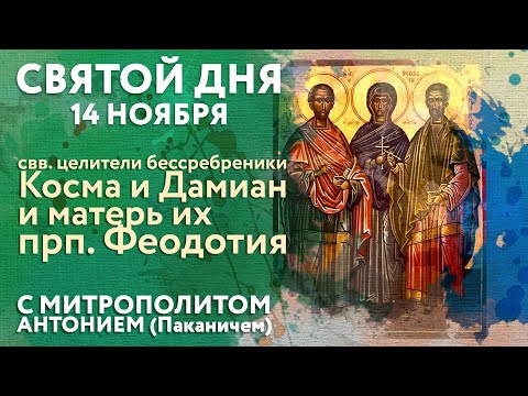 Видео: Святой дня. 14 ноября. Святые целители бессребреники Косма и Дамиан Асийские и прп. Феодотия.
