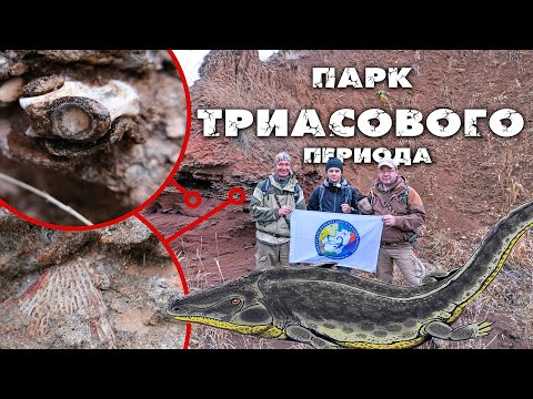 Видео: В поисках КОСТЕЙ триасовых РЕПТИЛИЙ и ЗЕМНОВОДНЫХ | УНИКАЛЬНЫЕ находки, которым 250 МИЛЛИОНОВ ЛЕТ