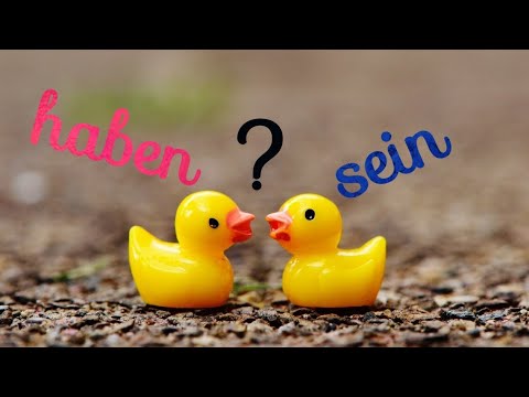Видео: Основните глаголи в немския език HABEN и SEIN (A1, A2)