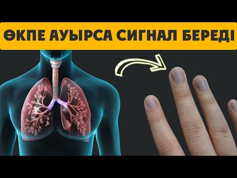 Видео: ӨКПЕ Ауырса  ОСЫЛАЙ ХАБАР БЕРЕДІ, Өкпені Тазартудың ҚҰПИЯСЫ