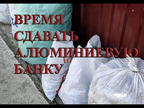 Видео: ВЕЗУ СДАВАТЬ АЛЮМИНИЕВЫЕ БАНКИ