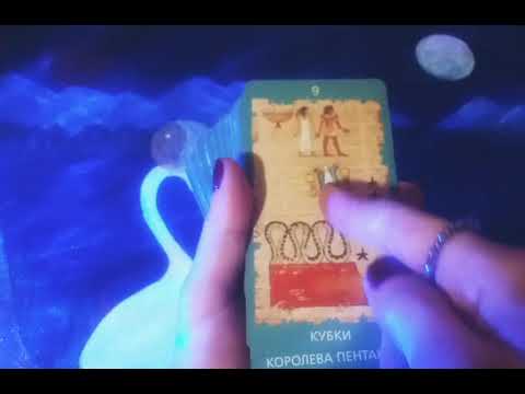 Видео: Послание Анубиса🐺👅🧠