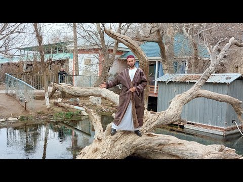 Видео: 44 Чашма Мохи калоншам дидем бехтарин чо бдай бади оби зам зам хамн об бдай