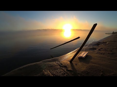 Видео: ОСЕННЕЕ КОСИЛОВО! Закинул РЕЗИНКИ с БЕРЕГА и НАЧАЛОСЬ! РЫБАЛКА ОСЕНЬЮ на РЕЗИНКИ ЖИВЕЦ VS СИЛИКОН!