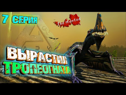 Видео: Большая перестрелка / Вырастил Тропеогната - The Hunted #7 ARK Survival Evolved
