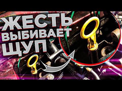 Видео: ВЫБИВАЕТ МАСЛЯНЫЙ ЩУП!!! ДАВИТ МАСЛО ВО ВПУСК И ВОЗДУШНЫЙ ФИЛЬТР!!! ГОРИТ МАСЛЕНКА! ЧТО МОЖЕТ БЫТЬ?