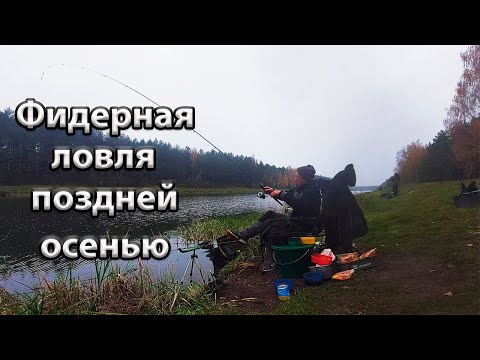 Видео: Осенняя ловля подлещика.