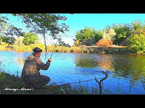 Видео: Рыбалка на карася. Ловля на поплавочную удочку. Донка (фидер, закидушка) выручает.