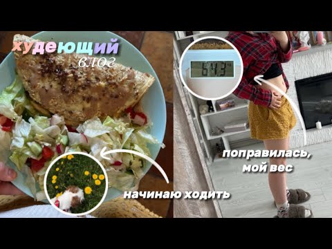 Видео: Худеющий влог/ худеющий день/ я худею/ худею/ худею к лету/ день худеющего человека/ питание￼