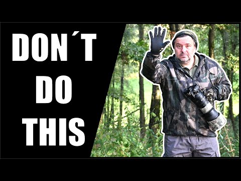 Видео: Плохие привычки в фотографии, от которых нужно отказаться, и тогда фотографии станут лучше.