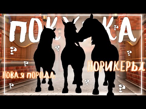 Видео: ПОКУПКА НОРИКЕРСКОЙ ЛОШАДИ | Star Stable Online