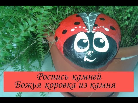 Видео: Роспись камней-Божья коровка/Рисуем акриловыми красками на камнях/ Как раскрасить камни/ Сама Я mk