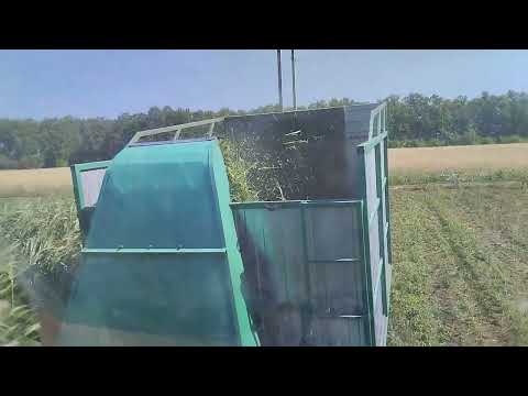 Видео: Самодельный Кир