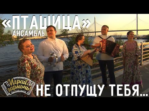 Видео: Я за деревню побегу... (Не отпущу тебя) | Ансамбль «ПТАШИЦА» (г. Санкт-Петербург) | @igraygarmon