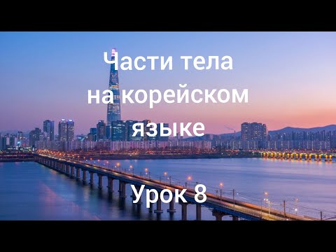Видео: Корейский язык / части тела / урок 8