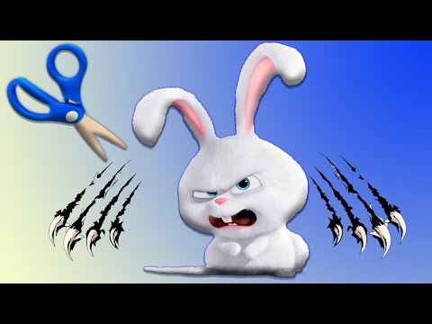 Видео: Как постричь кролику когти, нужно ли стричь когти кролику?