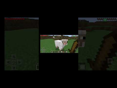 Видео: 13 ноября 2025 г.