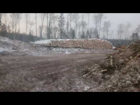 Видео: Каробка сд16..?