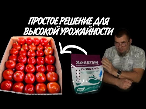 Видео: Как повысить урожайность с помощью хелата железа: эффективная формула с EDDGA 6%