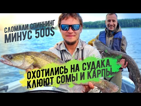 Видео: Ловля судака на Зеленом Море. Как увидеть судака в эхолоте?!