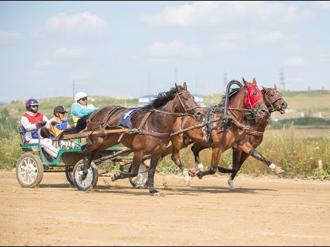 Видео: Русские тройки - 2-я пара, 2400